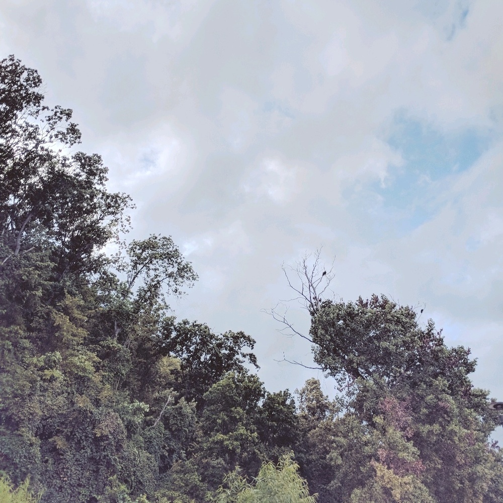 Meet your Posher, Seiri